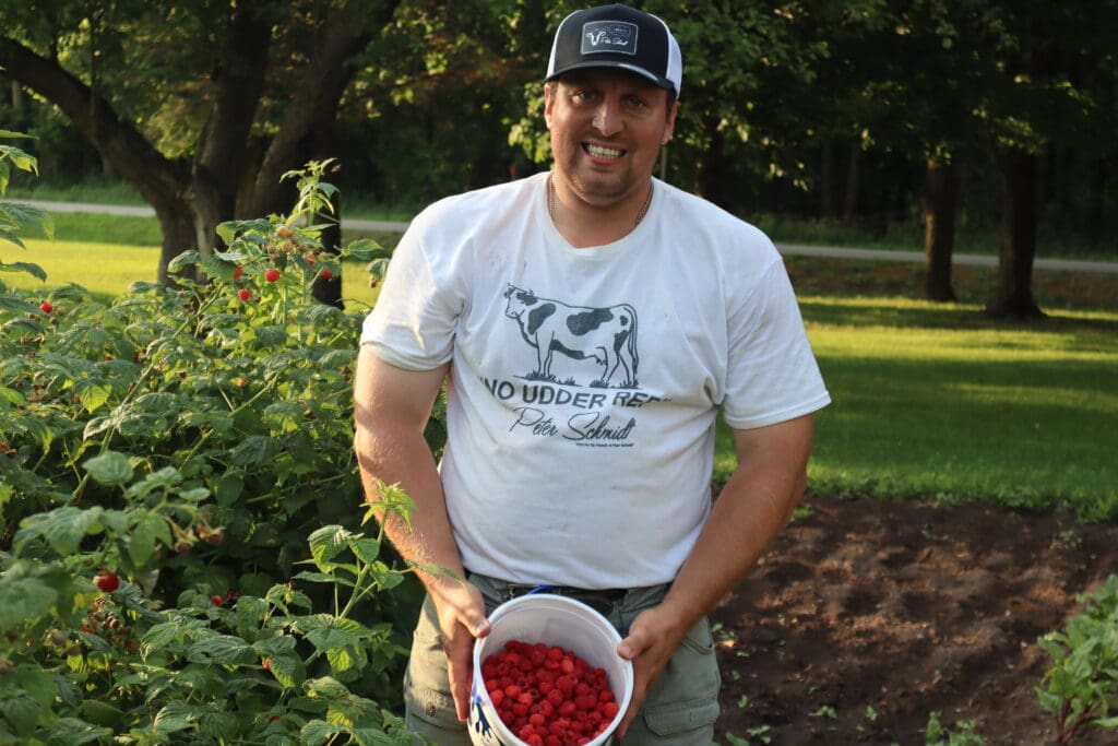 Smiling man holding bucket of raspberries in garden